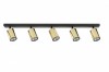 ZOOM black-brass V 33600 Sigma
