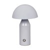 DORBIA grey TB-83647-GR Italux