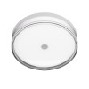 MOLINO M PLF-64536-M-WH Italux