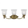 FRANCOISE burnished brass HK-FRANCOISE3-BATH Hinkley Lighting