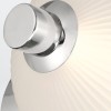 PALMAS nickel QN-PALMAS-2W-PN