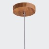 PHYSALIS QN-PHYSALIS-P-M-TEAK