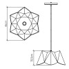 PHYSALIS QN-PHYSALIS-P-M-TEAK