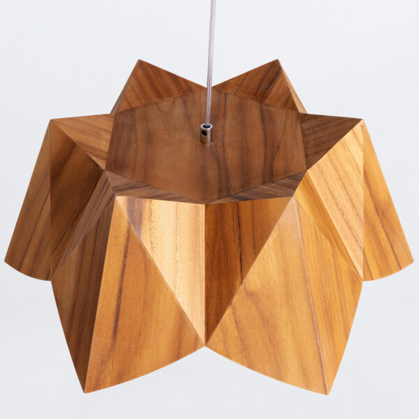 PHYSALIS QN-PHYSALIS-P-M-TEAK