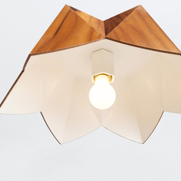 PHYSALIS QN-PHYSALIS-P-M-TEAK