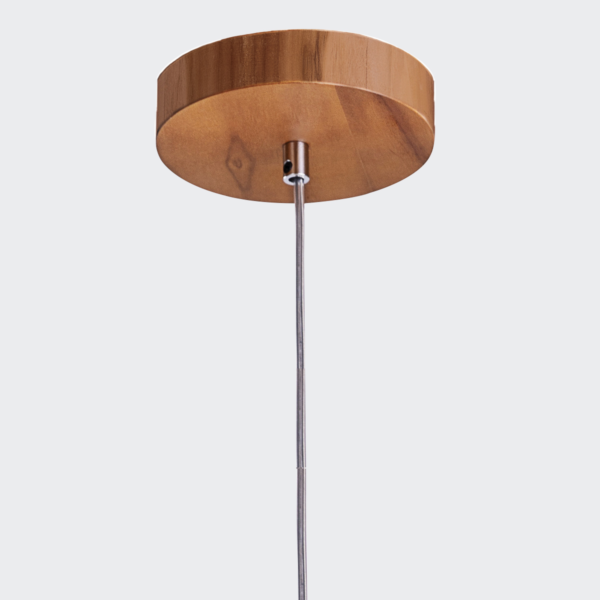 PHYSALIS QN-PHYSALIS-P-M-TEAK